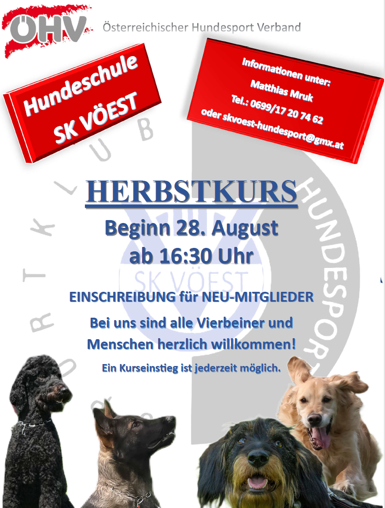 Kursbeginn Herbst 2026